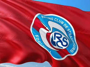 杏彩体育app下载-帕尔梅拉斯赛前体能检测通过，争冠筹备顺利