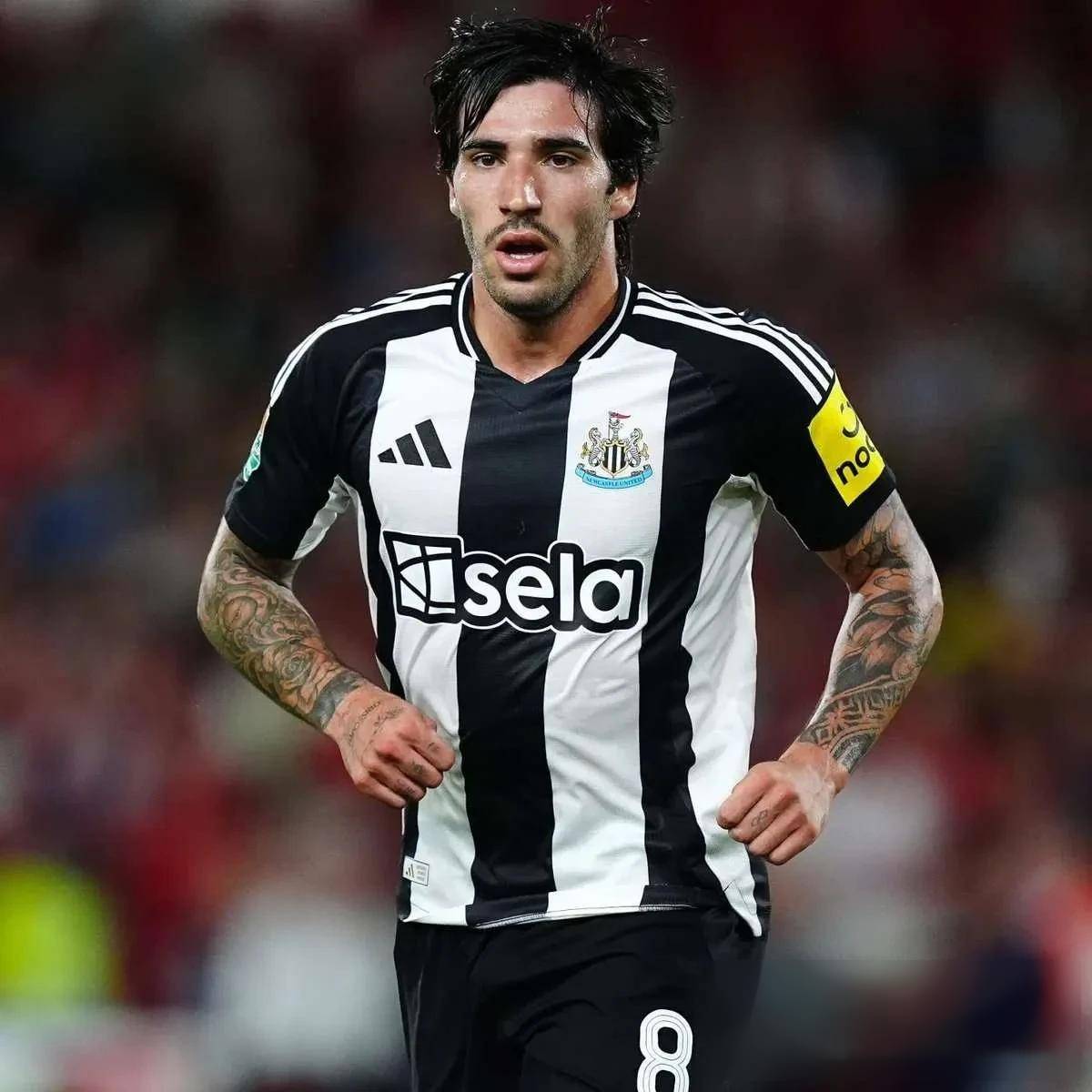 意甲比赛中球员意气高昂,斗志昂扬的简单介绍 意甲比赛中球员意气高昂,斗志昂扬的简单介绍